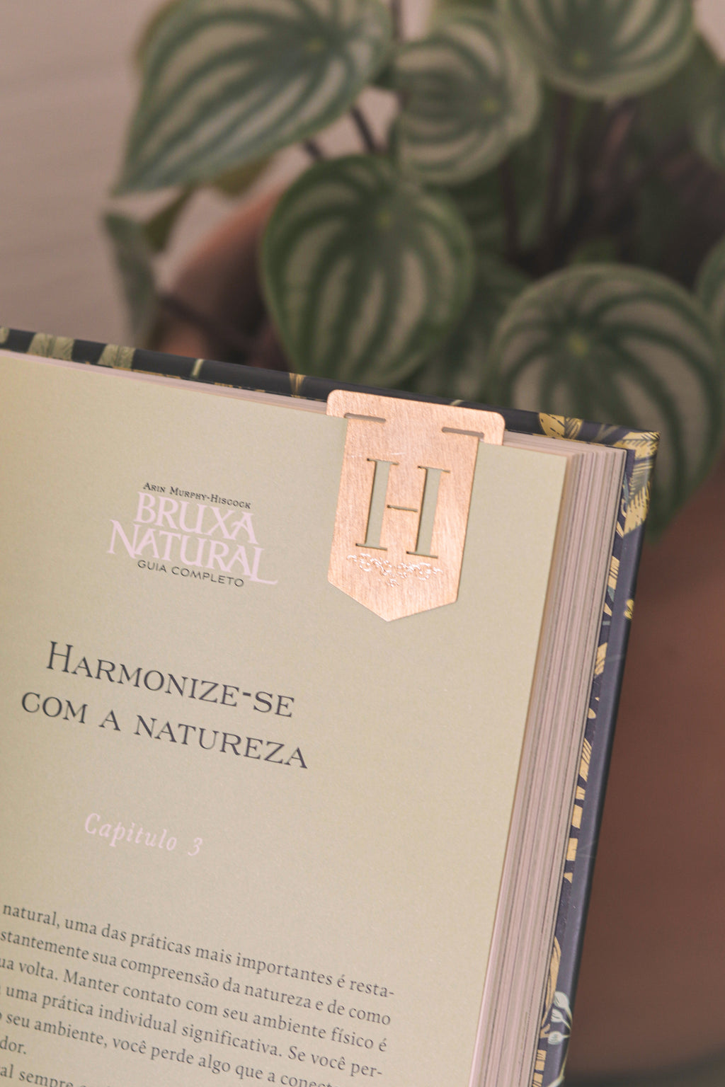 Monograma Letra H