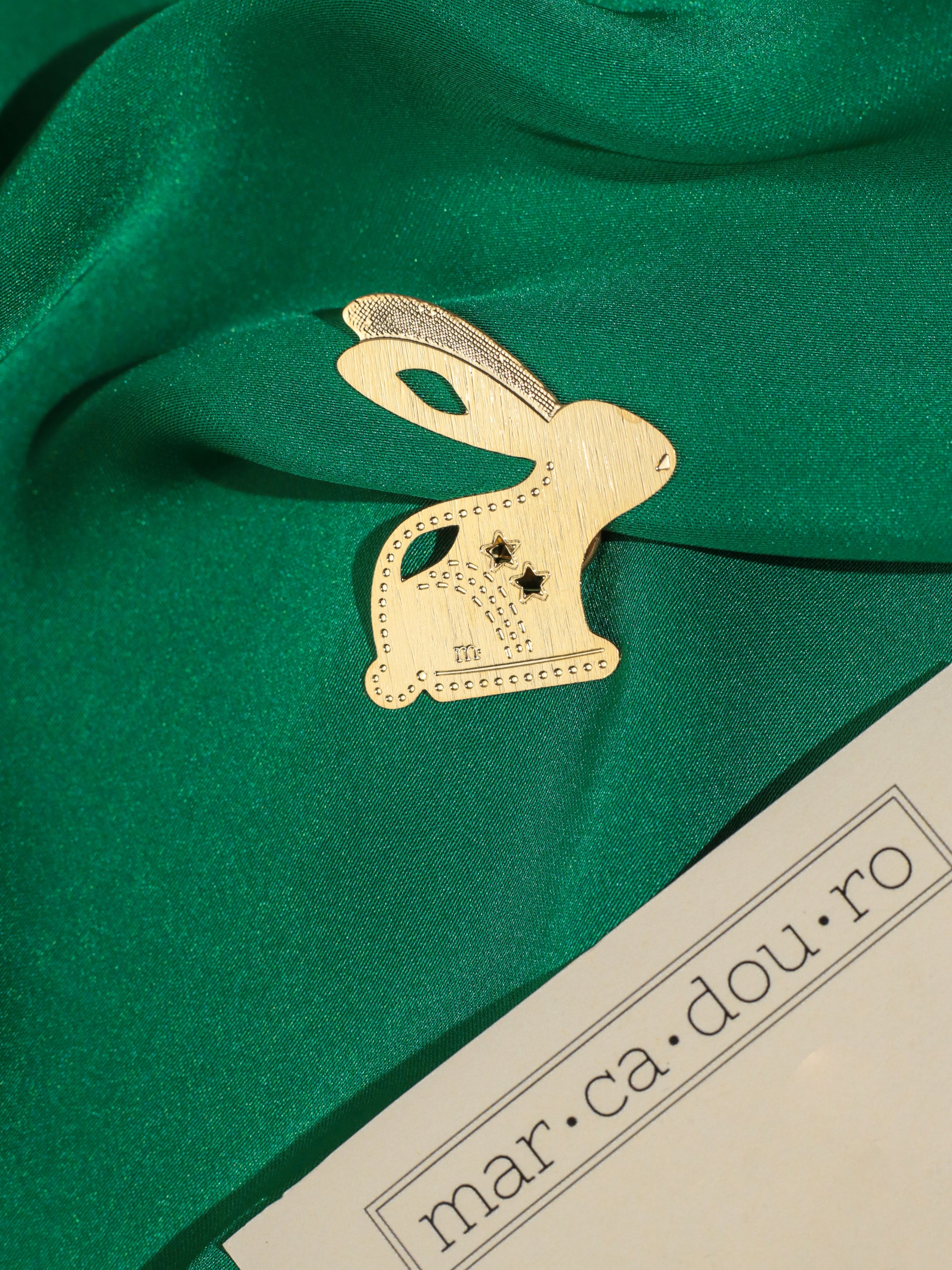 Pin Coelho