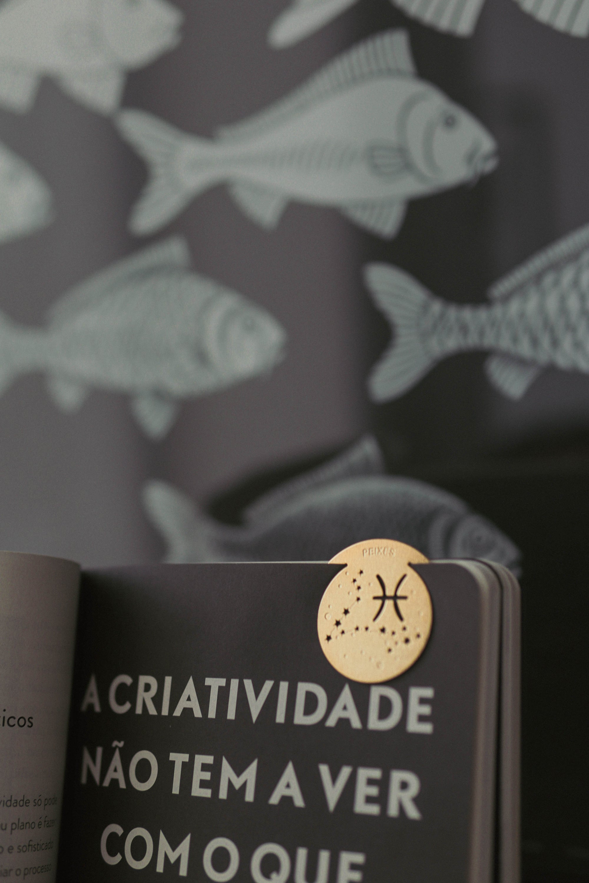 Marcadouro Peixes