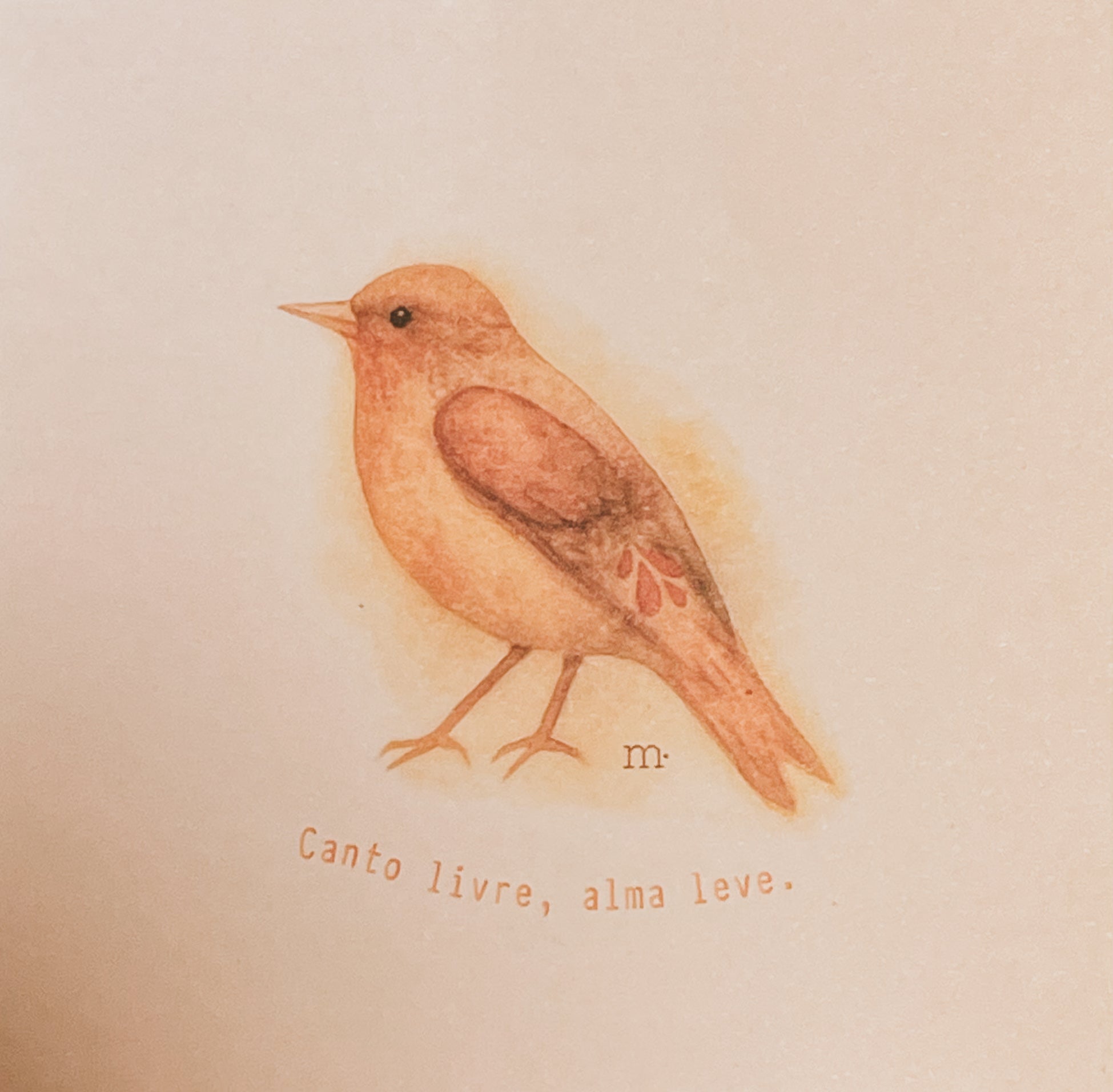 Sabia Laranjeira - Canto livre, alma leve