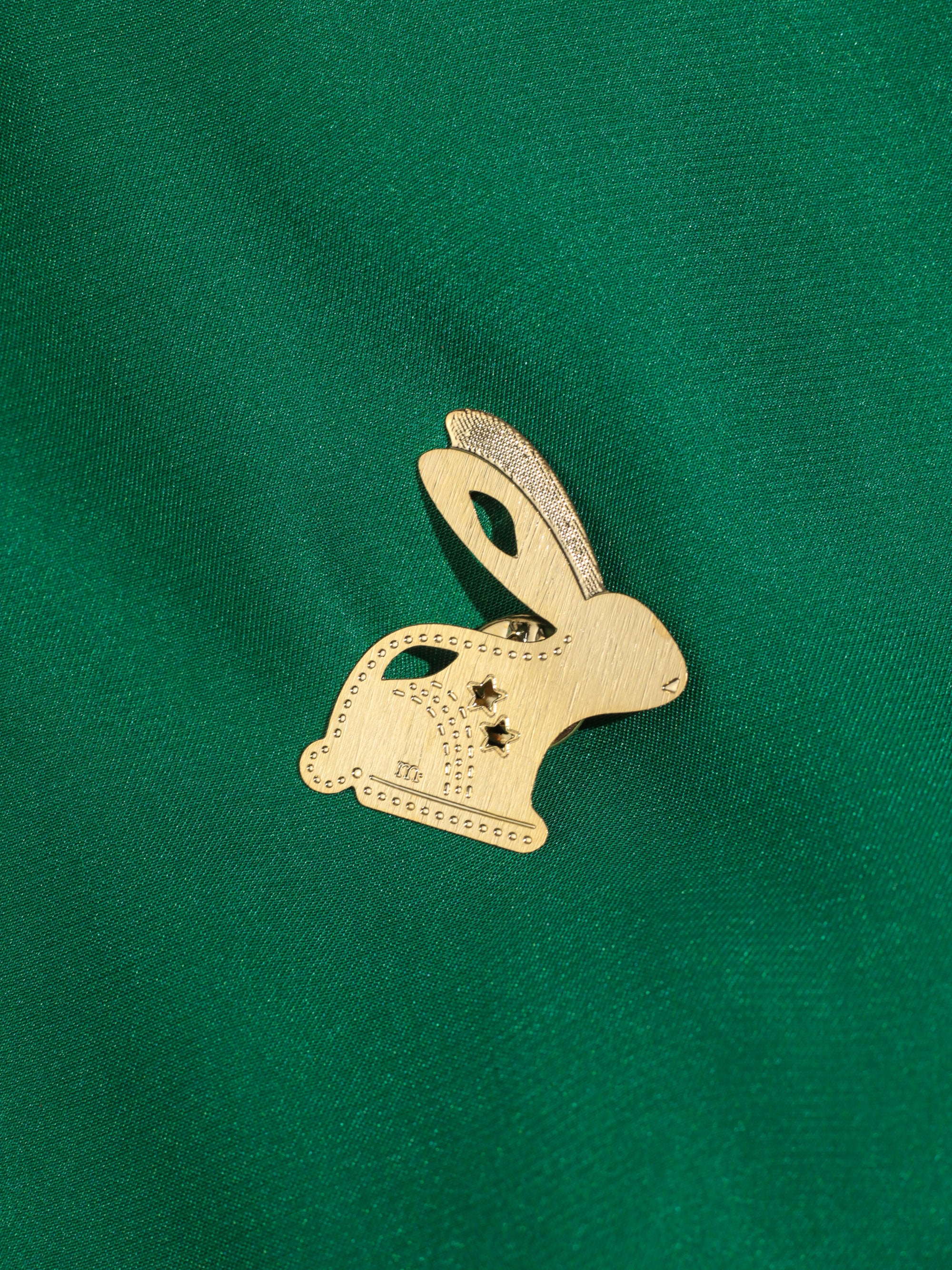 Pin Coelho