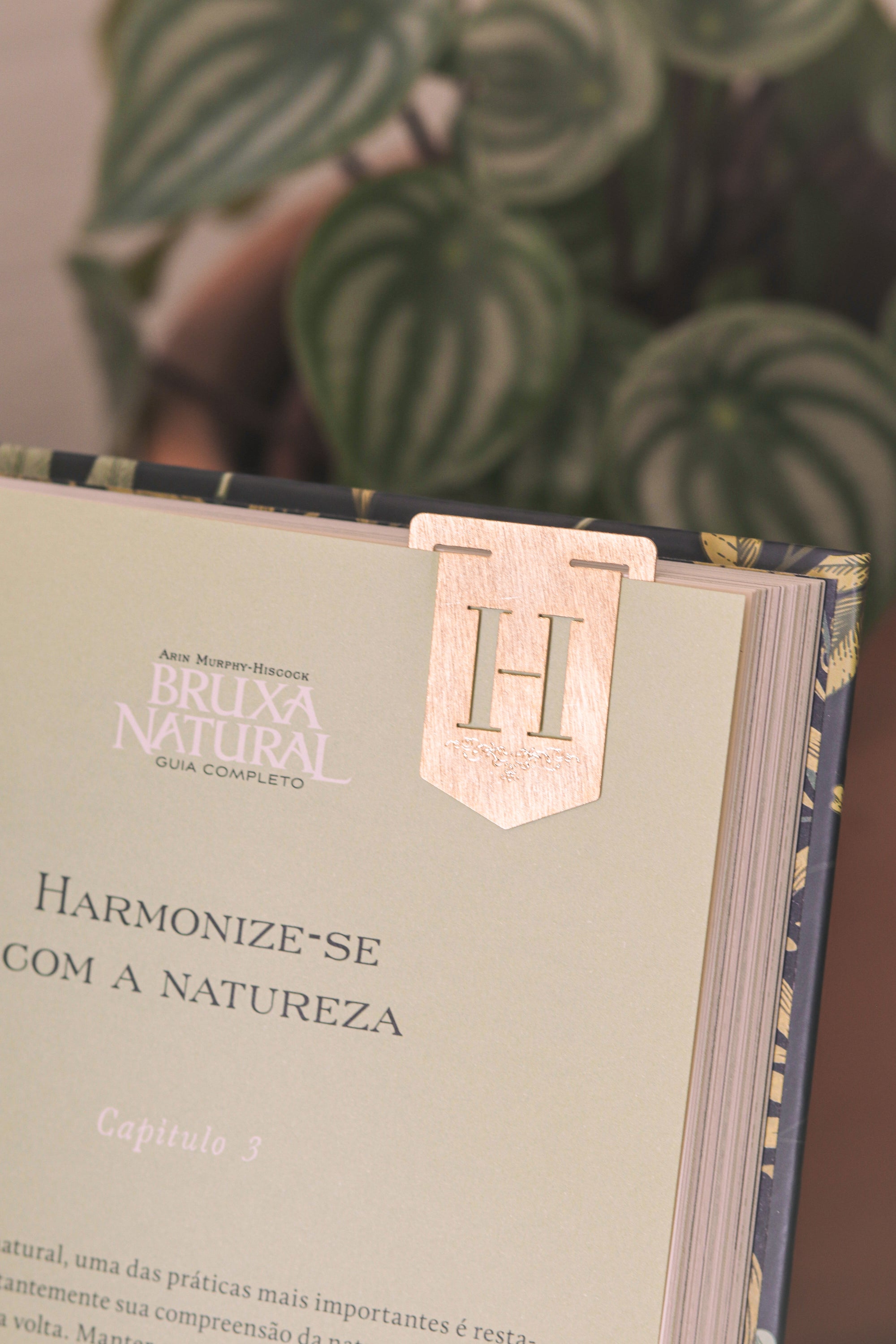 Monograma Letra H